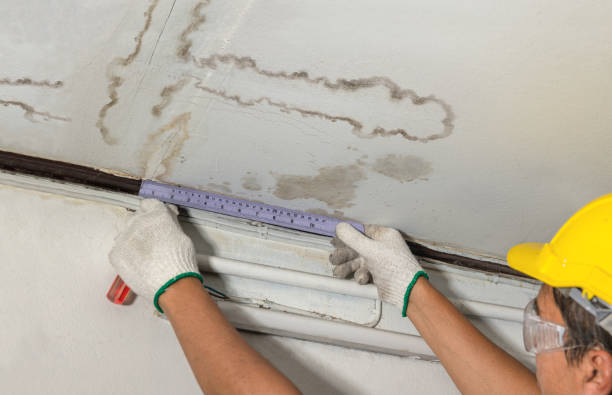 Reliable Mold Remediation contractor in Springville, NY by Water Damage Irwin
